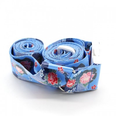 New Style Custom Printed Logo Luggage Straps Belt