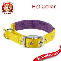 Fashion Color Pet Orbit Padded Nylon Dog Collar Big Size