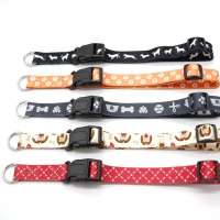 Free sample polyester dog collar with leash