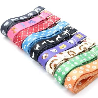 Eco-friendly Pet Accessories Polyester Dog  Leash